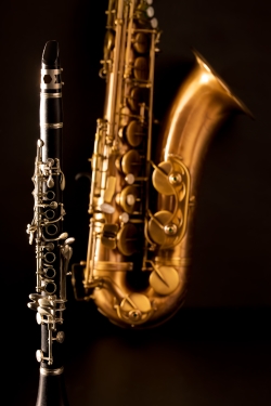 Experienced teaching of clarinet and saxphone lessons from 1st4reeds Hampshire