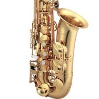 Clarinet and Saxphone professional and qualified teaching services based in Andover Hampshire